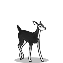 卡密批发市场的{固定网站名称23}